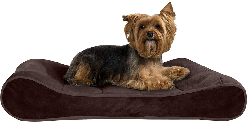 Furhaven Orthopedic, Cooling Gel, and Memory Foam Pet Beds for Small, Medium, and Large Dogs - Ergonomic Contour Luxe Lounger Dog Bed Mattress and More Animals & Pet Supplies > Pet Supplies > Dog Supplies > Dog Beds Furhaven Pet Products, Inc Microvelvet Espresso Contour Bed (Orthopedic Foam) Medium (Pack of 1)