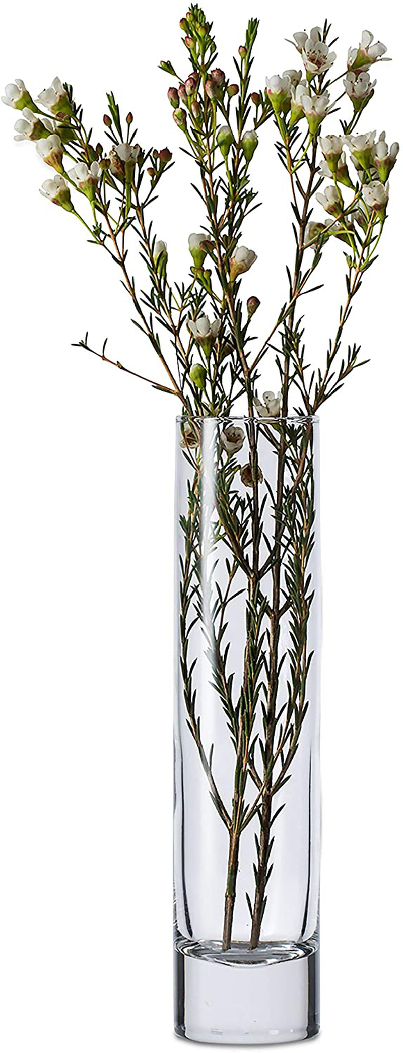 Libbey Cylinder Bud Vases, 7.5-inch, Set of 12