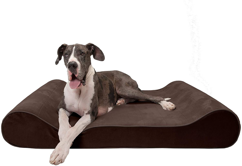 Furhaven Orthopedic, Cooling Gel, and Memory Foam Pet Beds for Small, Medium, and Large Dogs - Ergonomic Contour Luxe Lounger Dog Bed Mattress and More Animals & Pet Supplies > Pet Supplies > Dog Supplies > Dog Beds Furhaven Pet Products, Inc Microvelvet Espresso Contour Bed (Orthopedic Foam) Giant (Pack of 1)