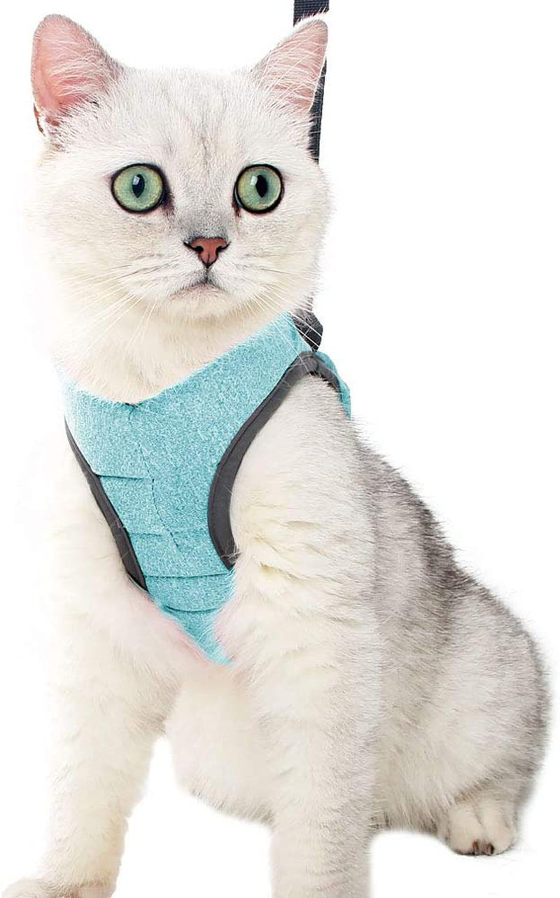 Heywean Cat Harness and Leash - Ultra Light Escape Proof Kitten Collar Cat Walking Jacket with Running Cushioning Soft and Comfortable Suitable for Puppies Rabbits Animals & Pet Supplies > Pet Supplies > Cat Supplies > Cat Apparel HEYWEAN CuteGreen Large (Pack of 1) 