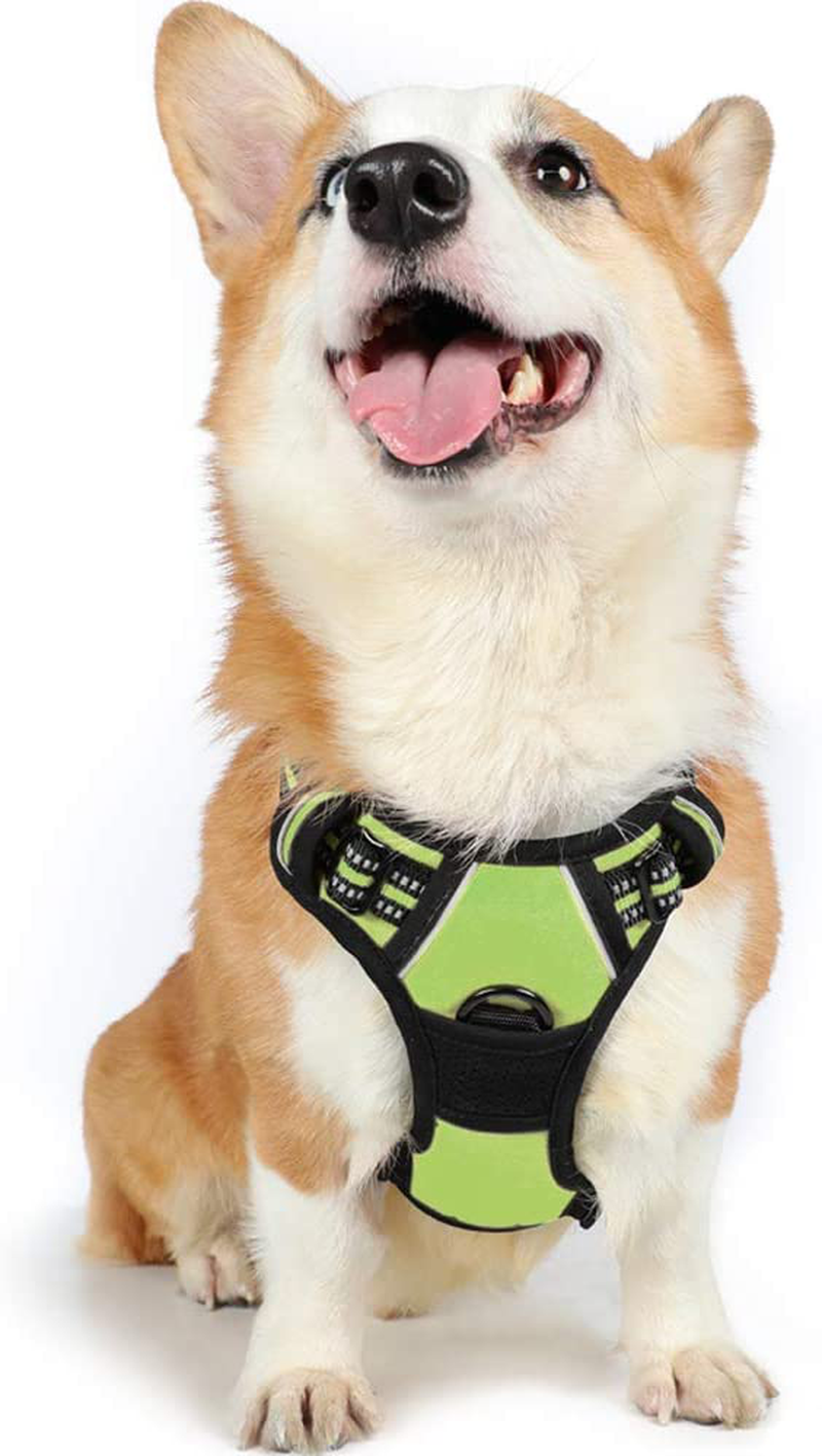 rabbitgoo Dog Harness, No-Pull Pet Harness with 2 Leash Clips, Adjustable Soft Padded Dog Vest, Reflective No-Choke Pet Oxford Vest with Easy Control Handle for Large Dogs, Black, XL  rabbitgoo Vibrant Lime Medium 