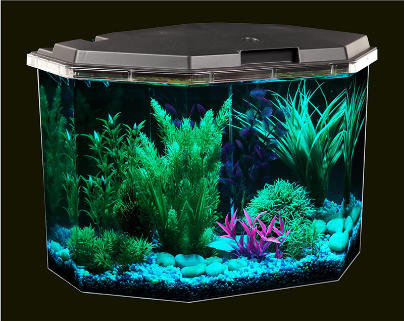 Koller Products 6.5-Gallon Aquarium Kit with Power Filter and LED Lighting, (AP650) Animals & Pet Supplies > Pet Supplies > Fish Supplies > Aquariums Koller Products   