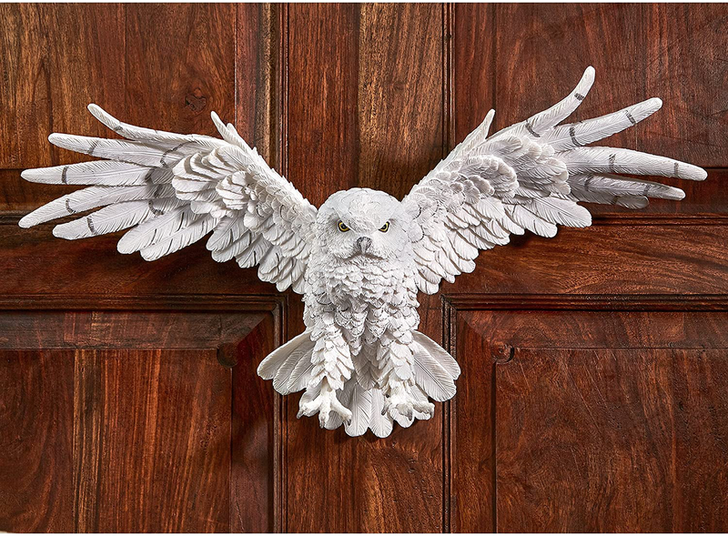 Design Toscano JQ9623 Mystical Spirit Owl Wall Sculpture, Full Color