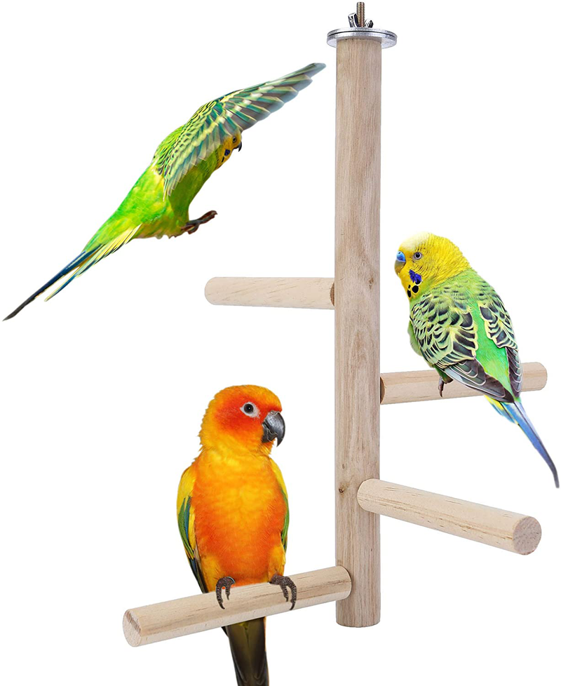 Mogoko Natural Wood Bird Perch Stand, Hanging Multi Branch Perch for Parrots, Parakeets Cockatiels, Conures, Macaws, Love Birds, Finches Animals & Pet Supplies > Pet Supplies > Bird Supplies Mogoko Style 3  
