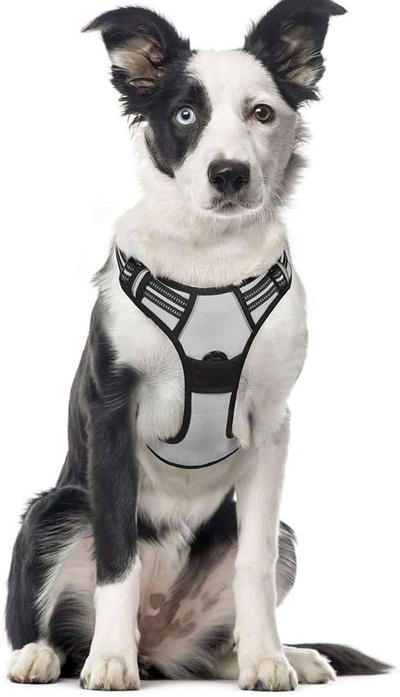 rabbitgoo Dog Harness, No-Pull Pet Harness with 2 Leash Clips, Adjustable Soft Padded Dog Vest, Reflective No-Choke Pet Oxford Vest with Easy Control Handle for Large Dogs, Black, XL  rabbitgoo Light Gray X-Large 
