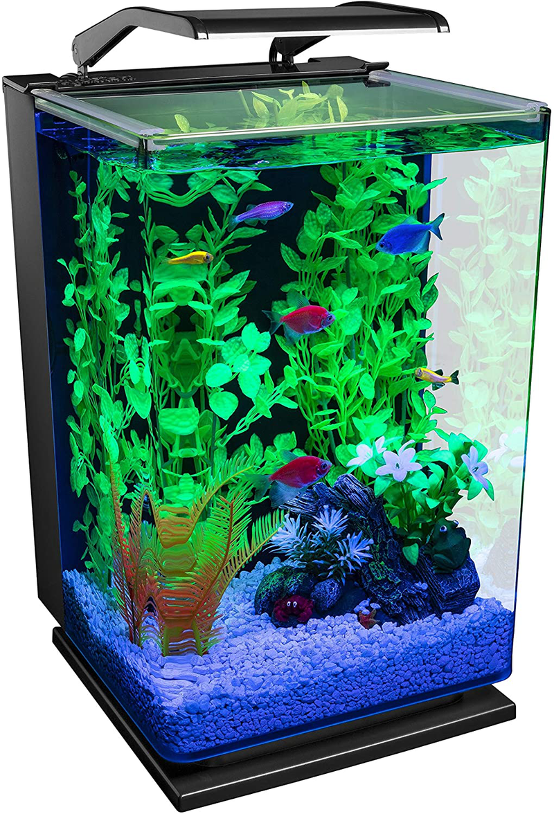 GloFish Aquarium Kit Fish Tank with LED Lighting and Filtration Included Animals & Pet Supplies > Pet Supplies > Fish Supplies > Aquariums GloFish 5-Gallon Portrait Kit  