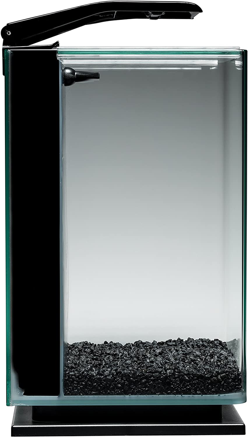Marineland Portrait Glass LED aquarium Kit, 5 Gallons, Hidden Filtration