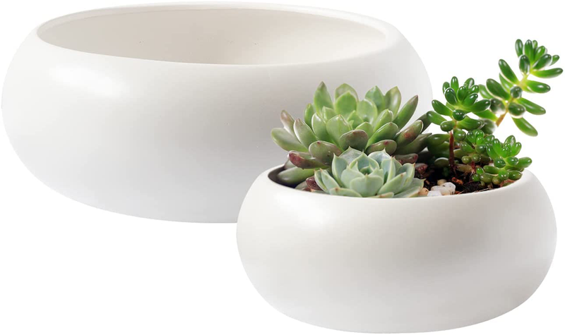 Royal Imports Flower Glass Vase, Bowl Terrarium Succulent Planter, Air Plant Display, Decorative Centerpiece Floral Container for Home or Wedding Set of 2, Clear Home & Garden > Decor > Vases Royal Imports White 10"/7.3" 