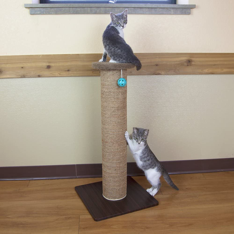 Kitty City Premium Woven Sisal Scratching Collection, Scratching Post, Perch Cushion Animals & Pet Supplies > Pet Supplies > Cat Supplies > Cat Beds Kitty City   