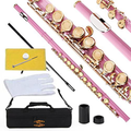 Glory Closed Hole C Flute With Case, Tuning Rod and Cloth,Joint Grease and Gloves Nickel Siver-More Colors available,Click to see more colors  GLORY Light Pink/Laquer  