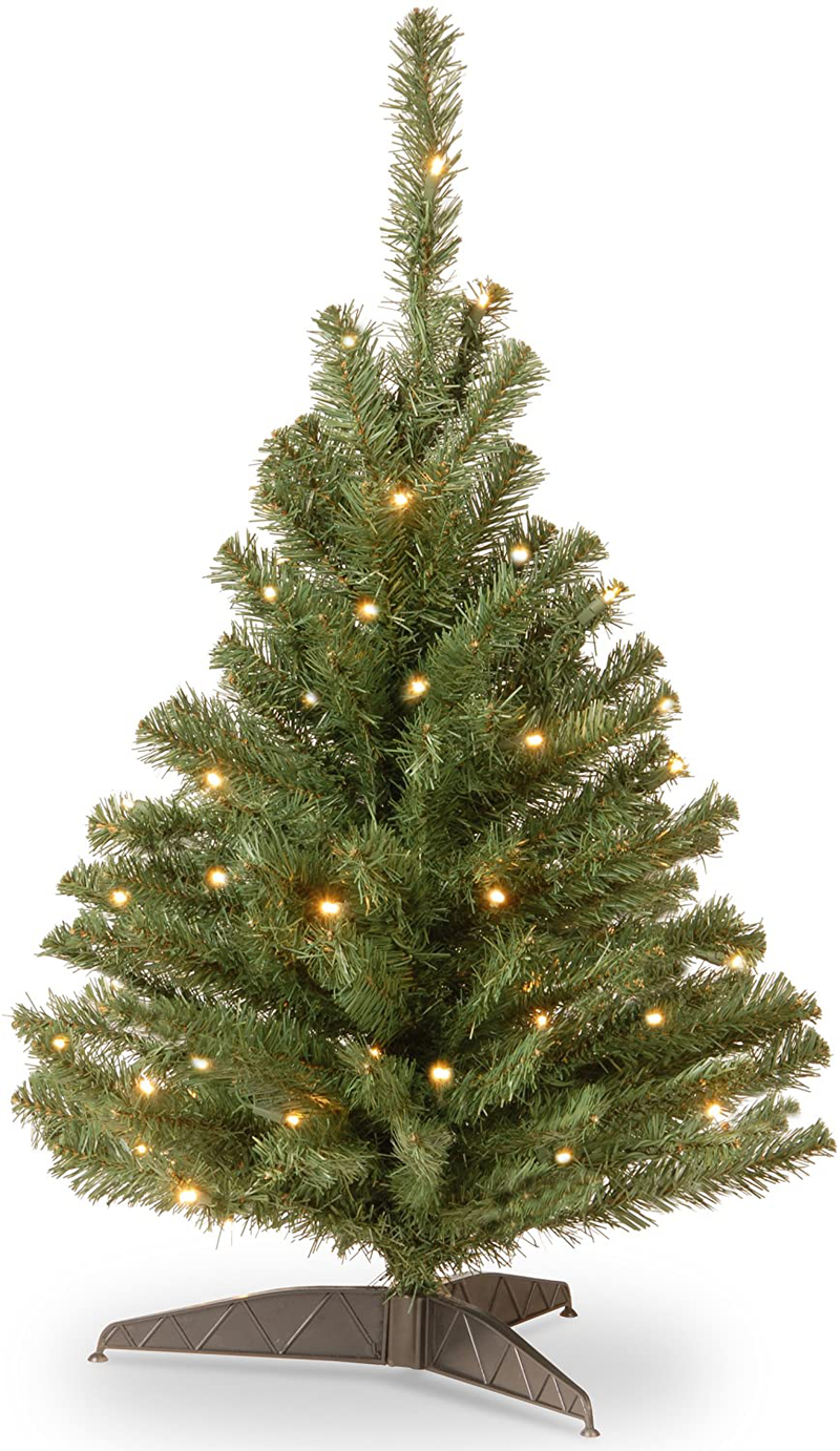 National Tree Company Pre-lit Artificial Mini Christmas Tree | Includes Pre-strung White Lights and Stand | Kincaid Spruce - 3 ft Home & Garden > Decor > Seasonal & Holiday Decorations > Christmas Tree Stands National Tree Company Tree 3 ft 