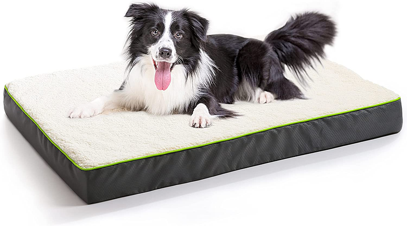 Hardy Buddy Oxford Egg Crate Foam Dog Bed for Small, Medium, Large Dogs, Thick Pet Bed Waterproof Mattress with Removable Washable Cover, Non-Slip Bottom Animals & Pet Supplies > Pet Supplies > Dog Supplies > Dog Beds Hardy Buddy White 42x30x4" 