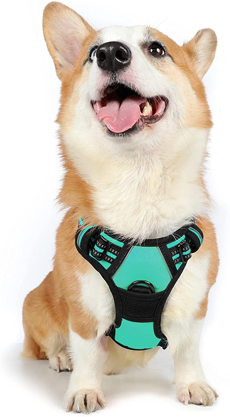 rabbitgoo Dog Harness, No-Pull Pet Harness with 2 Leash Clips, Adjustable Soft Padded Dog Vest, Reflective No-Choke Pet Oxford Vest with Easy Control Handle for Large Dogs, Black, XL  rabbitgoo Mint Green Medium 