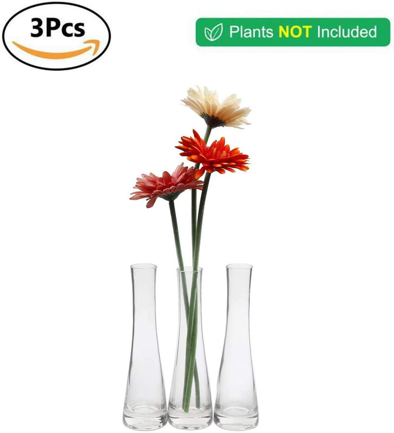 ComSaf Small Glass Vase for Flower Bud Home Decor Clear 8.5 Inch, Pack of 3
