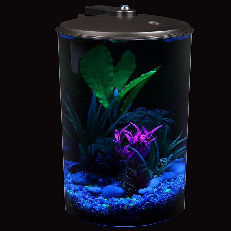 Koller Products AquaView 3-Gallon 360 Aquarium with LED Lighting (7 Color Choices) and Power Filter