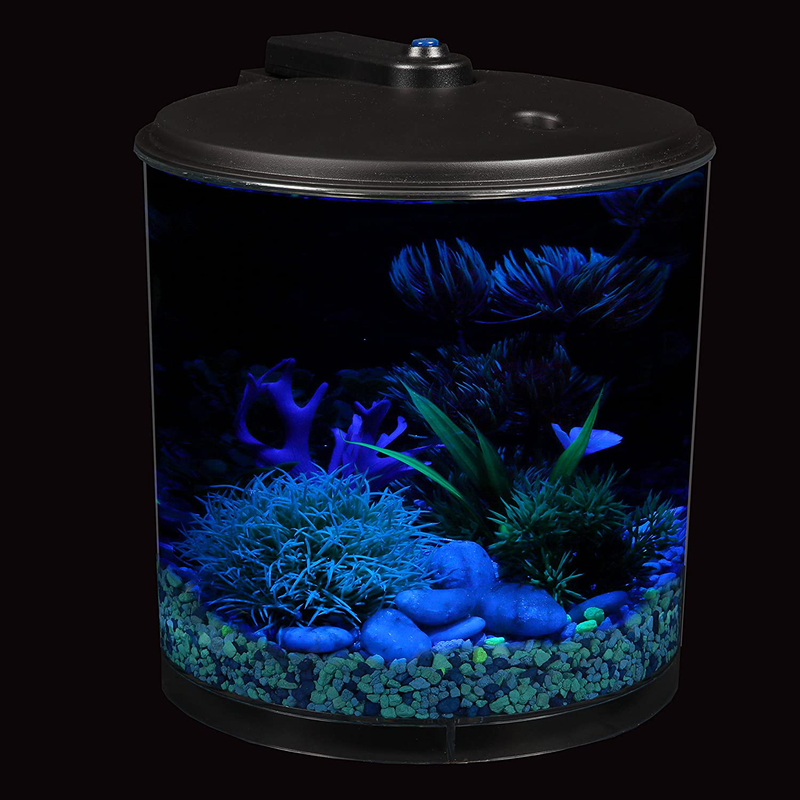 Koller Products AquaView 2-Gallon 360 Aquarium with Power Filter & LED Lighting