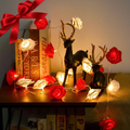Lolstar Valentines Day Rose String Lights 10 Ft 20 LED Battery Operated Rose Flower String Lights for Valentine'S Day Decoration Anniversary Wedding Birthday Party Decorations Large Diameter 2.7 Inch Home & Garden > Decor > Seasonal & Holiday Decorations LOLStar Red and White  
