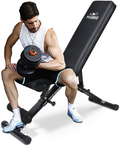 FLYBIRD Weight Bench, Adjustable Strength Training Bench for Full Body Workout with Fast Folding- 2021 Version