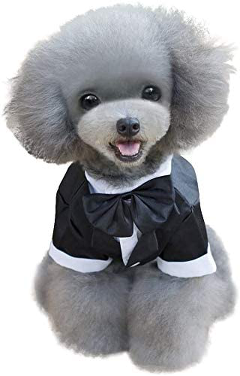 Kuoser Dog Shirt Puppy Pet Small Dog Clothes, Stylish Suit Bow Tie Costume, Wedding Shirt Formal Tuxedo with Black Tie, Dog Prince Wedding Bow Tie Suit Animals & Pet Supplies > Pet Supplies > Dog Supplies > Dog Apparel Kuoser   