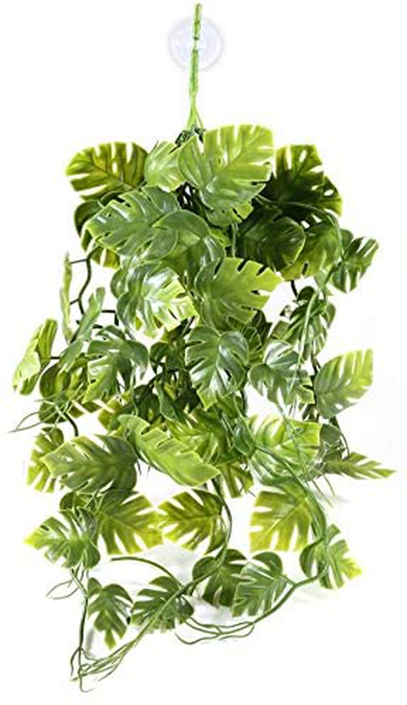 Pangea Hanging Plants Deluxe Decor for Reptile Enclosure Habitat Animals & Pet Supplies > Pet Supplies > Reptile & Amphibian Supplies Pangea Green  