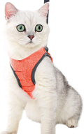Heywean Cat Harness and Leash - Ultra Light Escape Proof Kitten Collar Cat Walking Jacket with Running Cushioning Soft and Comfortable Suitable for Puppies Rabbits Animals & Pet Supplies > Pet Supplies > Cat Supplies > Cat Apparel HEYWEAN CuteOrange Large (Pack of 1) 