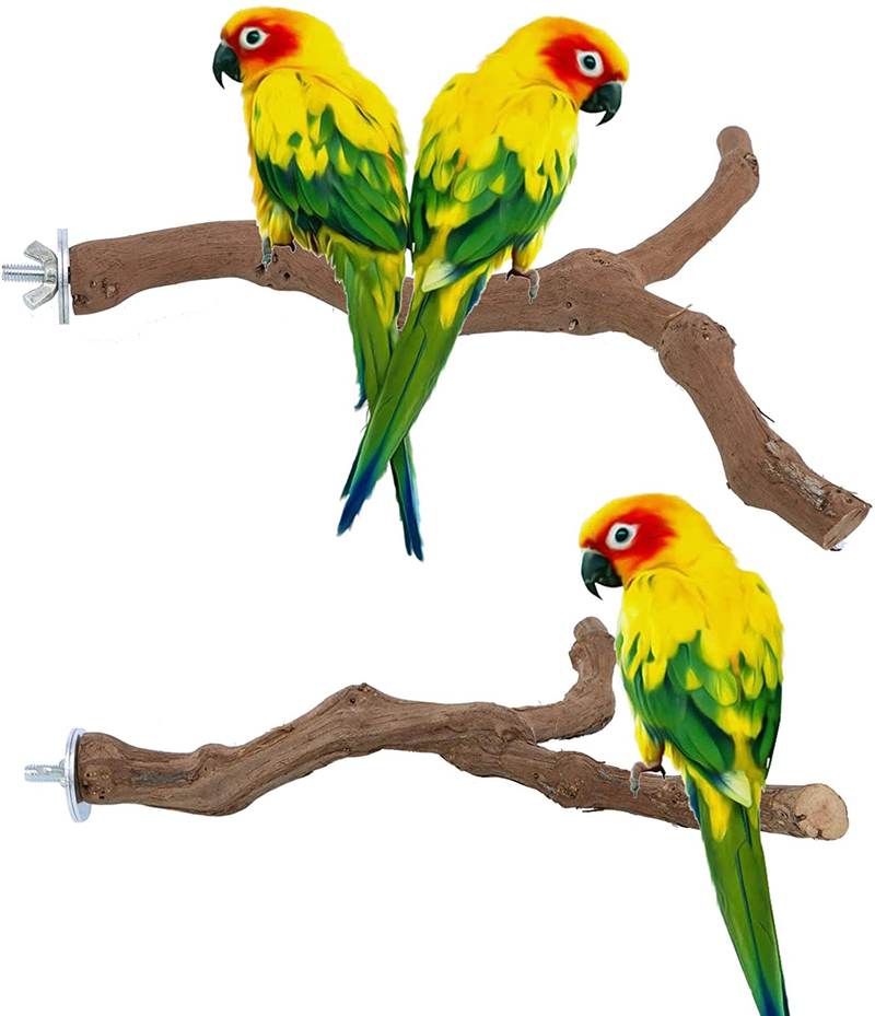 KINTOR Bird Perch Nature Wood Stand for 3-4pcs Small Medium Parrots