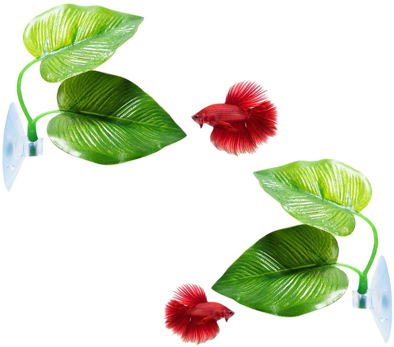 CousDUoBe Betta Fish Leaf Pad - Improves Betta's Health by Simulating The Natural Habitat（ Double Leaf Design, one Big and one Small ） Animals & Pet Supplies > Pet Supplies > Fish Supplies > Aquarium Decor CousDUoBe 2 Pack Betta Fish Leaf  