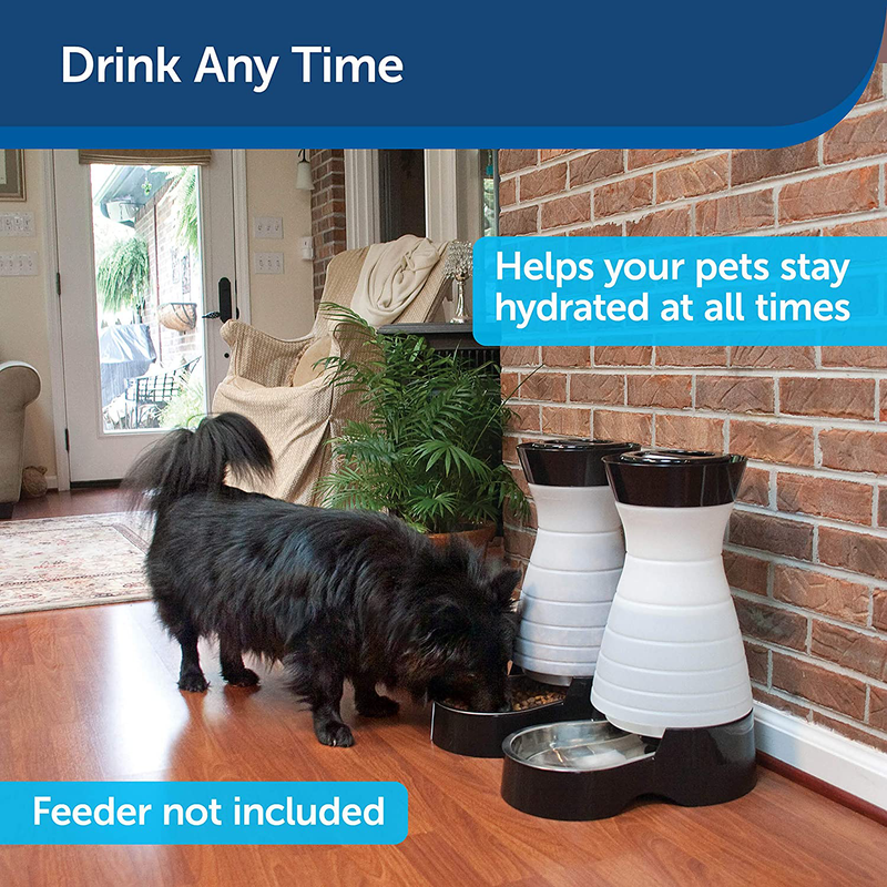 PetSafe Healthy Pet Gravity Food or Water Station, Automatic Dog and Cat Feeder or Water Dispenser, Small, Medium, Large Animals & Pet Supplies > Pet Supplies > Dog Supplies Water & Feed   