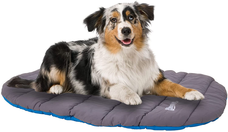 Chuckit! Travel Pillow Bed, One Size, Blue and Grey Animals & Pet Supplies > Pet Supplies > Dog Supplies > Dog Beds Chuckit!   