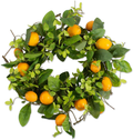 DII Decorative Seasonal Wreath Spring/Summer, Front Door or Indoor Wall Décor, 22", Wild Flowers Home & Garden > Plants > Flowers DII Lemons  