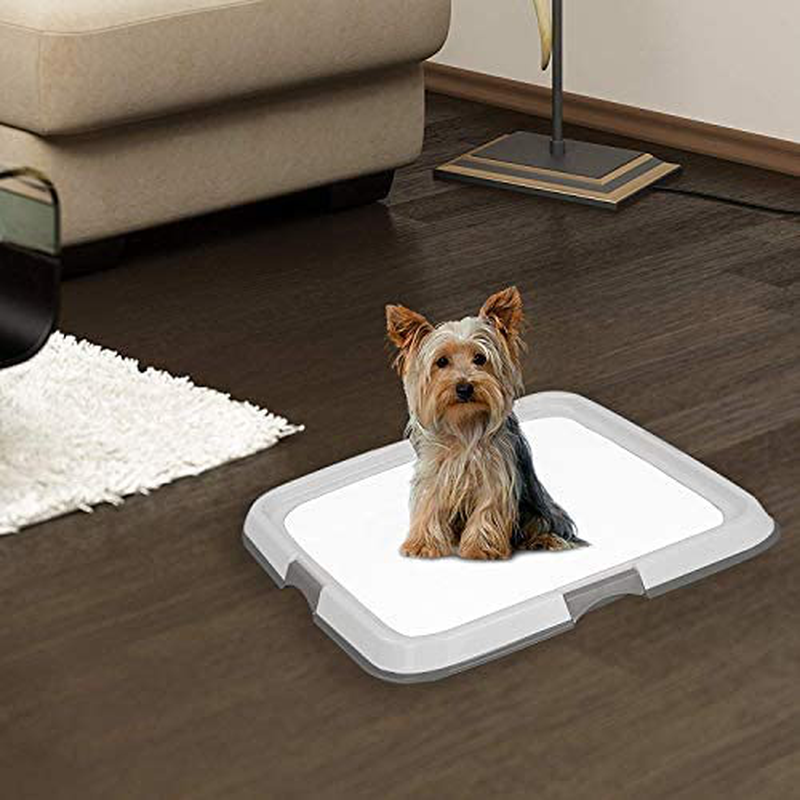 PAWISE Large Dog Training Pad Holder, Best Portable Puppy Trainer - Indoor Dog Potty - Puppy Pad Floor Tray, 24''X24''
