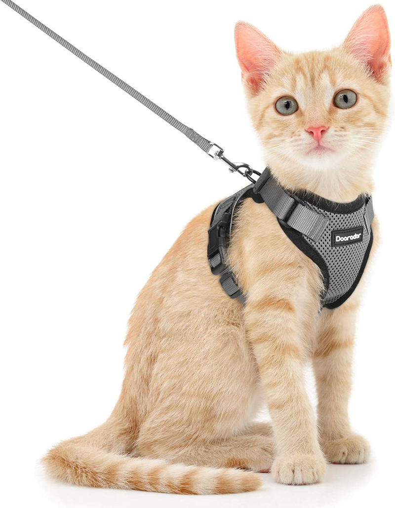 Dooradar Cat Leash and Harness Set, Escape Proof Safe Breathable Cat Vest Harness for Walking , Easy Control Soft Adjustable Reflective Strips Mesh Jacket for Cats, Pink, XS (Chest: 13.5” -16.0”) Animals & Pet Supplies > Pet Supplies > Cat Supplies > Cat Apparel Dooradar Grey X-Small (Pack of 1) 