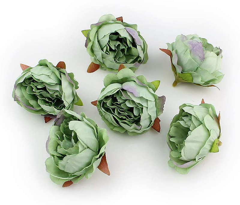 Fake Flower Heads in Bulk Wholesale for Crafts Silk Peony Flower Head Silk Artificial Flowers for Wedding Decoration DIY Decorative Wreath Party Festival Home Decor 15 Pieces 5cm (Champagne) Home & Garden > Plants > Flowers Peony Green  