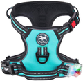 PoyPet No Pull Dog Harness, No Choke Front Lead Dog Reflective Harness, Adjustable Soft Padded Pet Vest with Easy Control Handle for Small to Large Dogs Animals & Pet Supplies > Pet Supplies > Dog Supplies PoyPet Mint Blue - LED XL 