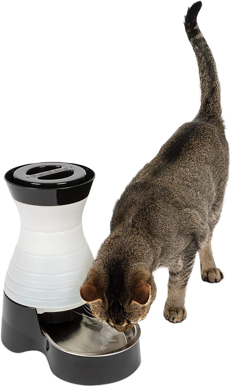 PetSafe Healthy Pet Gravity Food or Water Station, Automatic Dog and Cat Feeder or Water Dispenser, Small, Medium, Large Animals & Pet Supplies > Pet Supplies > Dog Supplies Water & Feed Waterer Small (Pack of 1) 