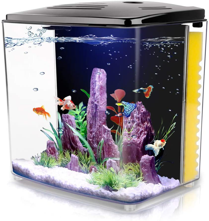 FREESEA 1.2 Gallon Betta Aquarium Fish Tank with LED Light and Filter Pump Animals & Pet Supplies > Pet Supplies > Fish Supplies > Aquariums FREESEA Square / Black  