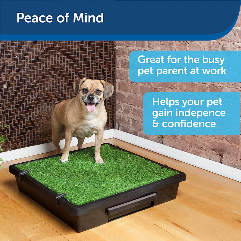 PetSafe Pet Loo Portable Outdoor or Indoor Dog Potty - Dog Grass Pad with Tray - Alternative to Puppy Pads - Easy to Clean Dog Potty Grass, Absorbent Wee Sponge, Pee Pod - Small, Medium, Large