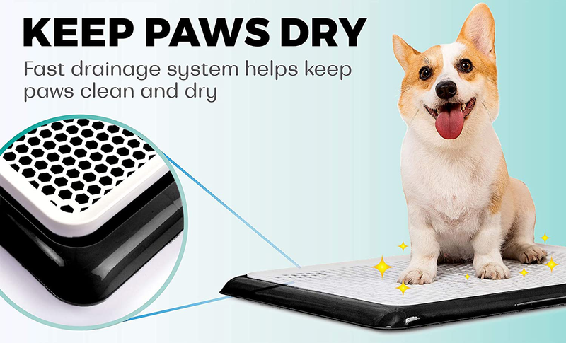 Pet Awesome Dog Potty Tray / Puppy Pee Pad Holder 25”x20” Indoor Wee Training for Small and Medium Dogs Animals & Pet Supplies > Pet Supplies > Dog Supplies > Dog Diaper Pads & Liners PET AWESOME   
