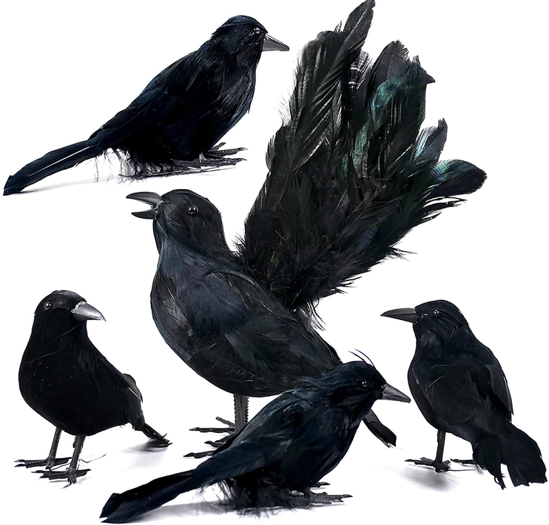 Orgrimmar 5 PCS Black Feather Crows Halloween Party Decors Halloween Hanging Props Haunted House Ornament for Wall Door Garden Porch Indoor Outdoor Decoration Arts & Entertainment > Party & Celebration > Party Supplies Orgrimmar Default Title  