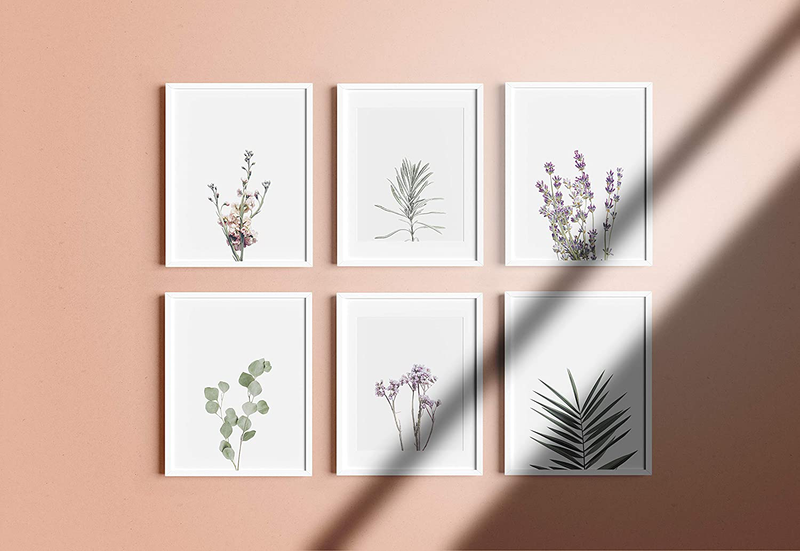 Floral Prints and Plant Posters - by Haus and Hues | Set of 6 Botanical Prints Wall Art & Floral Wall Art, Wildflower Wall Art Plant Wall Art Minimalistic Wall Art Plant Set (8"X10", UNFRAMED) Home & Garden > Decor > Artwork > Posters, Prints, & Visual Artwork Rip Technologies LLC   