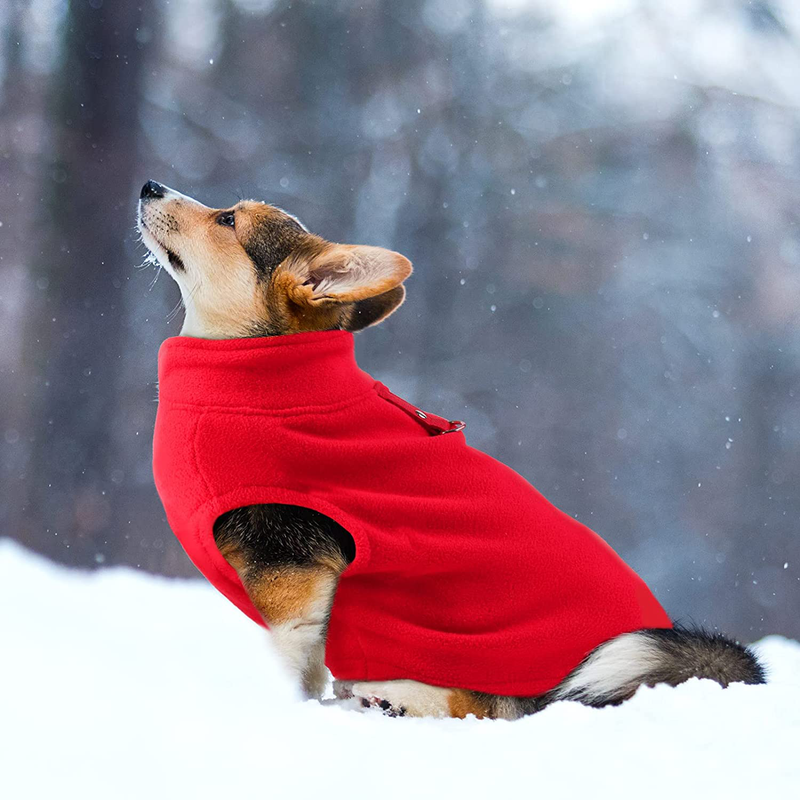Pedgot 4 Pieces Dog Clothes Dog Jacket with Leash Ring Warm Dog Sweatshirt Polar Fleece Dog Vest Winter Pet Clothes Dog Pullover for Pet Supplies Animals & Pet Supplies > Pet Supplies > Dog Supplies > Dog Apparel Pedgot   
