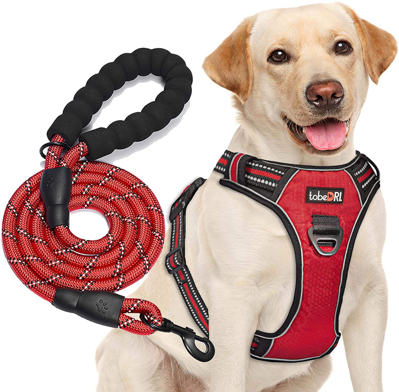 tobeDRI No Pull Dog Harness Adjustable Reflective Oxford Easy Control Medium Large Dog Harness with A Free Heavy Duty 5ft Dog Leash (S (Neck: 13"-18", Chest: 17.5"-22"), Blue Harness+Leash) Animals & Pet Supplies > Pet Supplies > Dog Supplies tobeDRI Red harness+leash L (Chest: 25.5"-31") 
