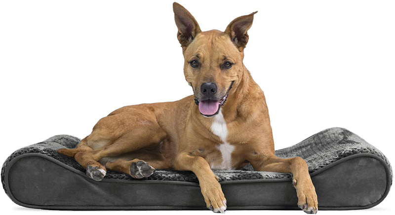 Furhaven Orthopedic, Cooling Gel, and Memory Foam Pet Beds for Small, Medium, and Large Dogs - Ergonomic Contour Luxe Lounger Dog Bed Mattress and More Animals & Pet Supplies > Pet Supplies > Dog Supplies > Dog Beds Furhaven Pet Products, Inc Minky Gray Contour Bed (Orthopedic Foam) Large (Pack of 1)