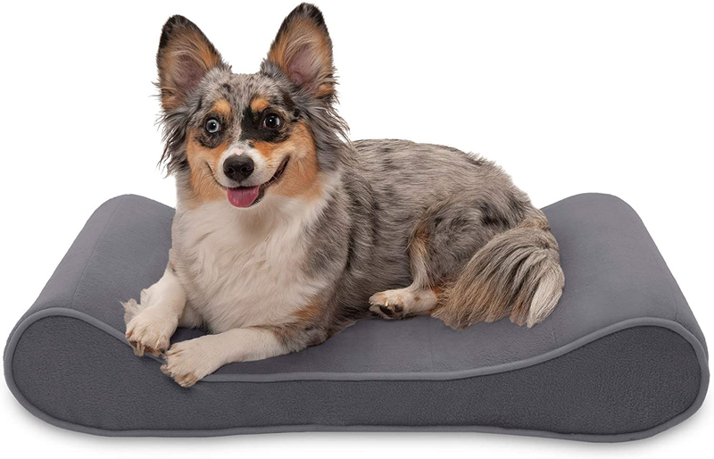 Furhaven Orthopedic, Cooling Gel, and Memory Foam Pet Beds for Small, Medium, and Large Dogs - Ergonomic Contour Luxe Lounger Dog Bed Mattress and More Animals & Pet Supplies > Pet Supplies > Dog Supplies > Dog Beds Furhaven Pet Products, Inc Microvelvet Gray Contour Bed (Cooling Gel Foam) Medium (Pack of 1)