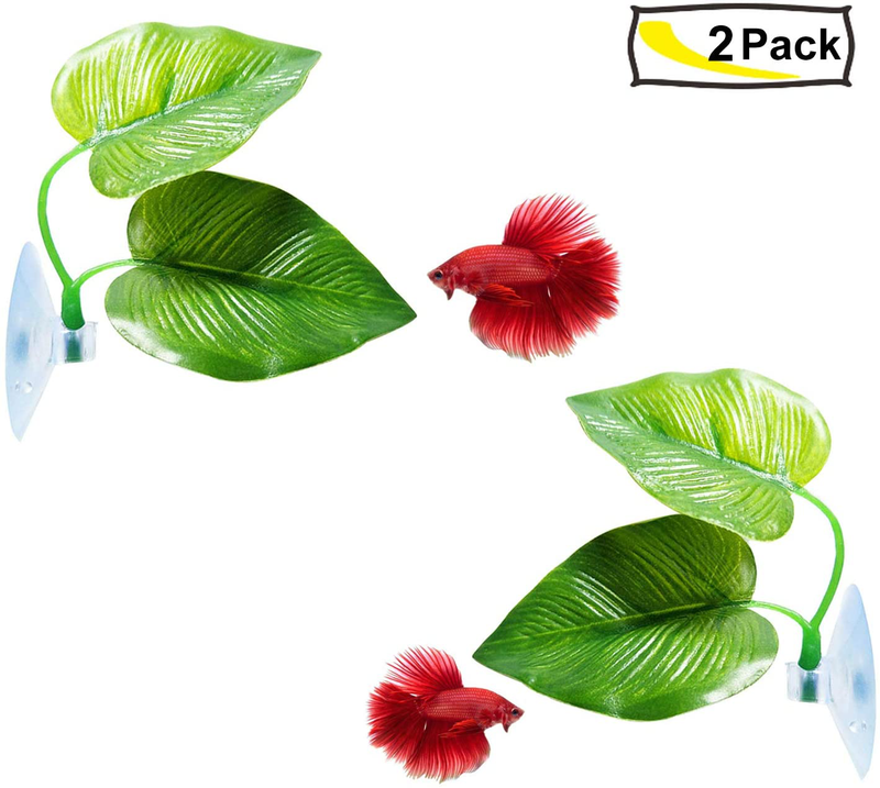 CousDUoBe Betta Fish Leaf Pad - Improves Betta's Health by Simulating The Natural Habitat（ Double Leaf Design, one Big and one Small ） Animals & Pet Supplies > Pet Supplies > Fish Supplies > Aquarium Decor CousDUoBe   