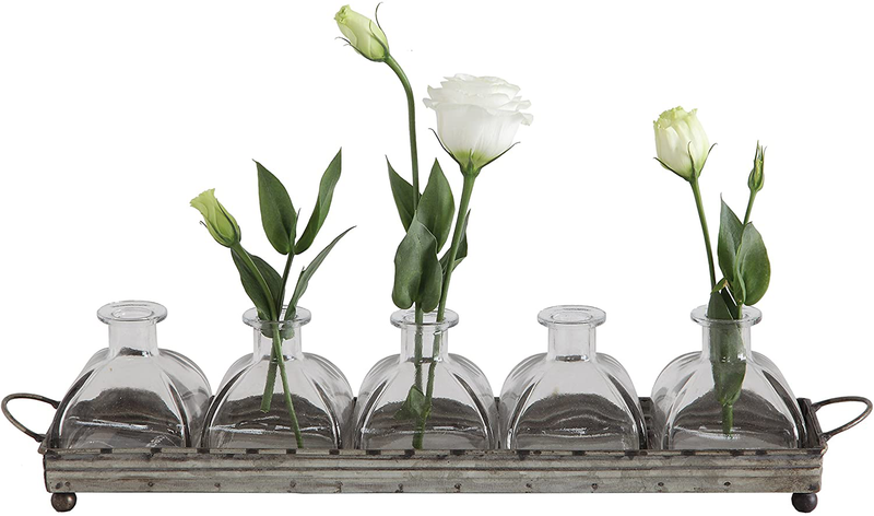 Creative Co-Op Decorative Iron Rectangle Tray with Handles & 5 Glass Vases