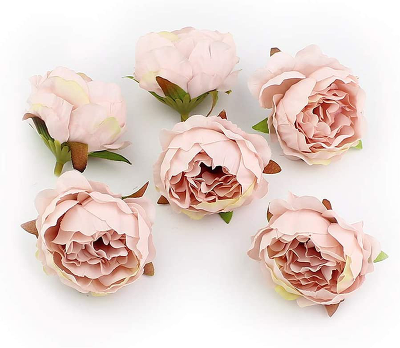 Fake Flower Heads in Bulk Wholesale for Crafts Silk Peony Flower Head Silk Artificial Flowers for Wedding Decoration DIY Decorative Wreath Party Festival Home Decor 15 Pieces 5cm (Champagne) Home & Garden > Plants > Flowers Peony Champagne  
