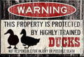 Funny Duck Warning This Property is Protected by Highly Trained Ducks Vintage Style Metal Sign Iron Painting for Indoor & Outdoor Home Bar Coffee Kitchen Wall Decor 8 X 12 Inch Home & Garden > Decor > Artwork > Sculptures & Statues Lenrius Ch27 8 X 12 Inch 