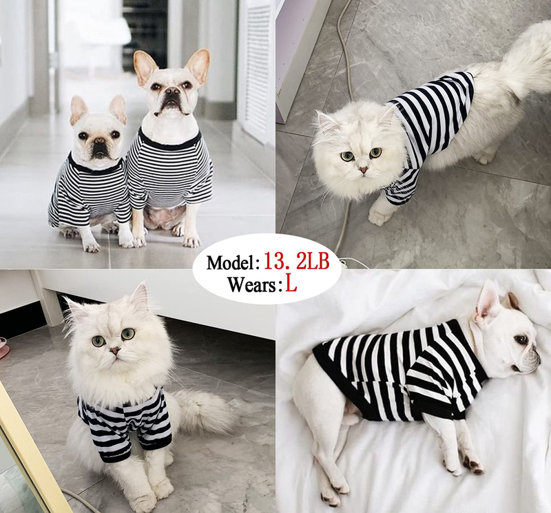 Dog Shirt Pet Clothes Cotton Striped Clothing, 2 Pack Puppy Vest T-Shirts Outfits for Dogs and Cat Apparel, Doggy Breathable Soft Shirts for Small Medium Large Dogs Kitten Boy and Girl… Animals & Pet Supplies > Pet Supplies > Cat Supplies > Cat Apparel Tealots   