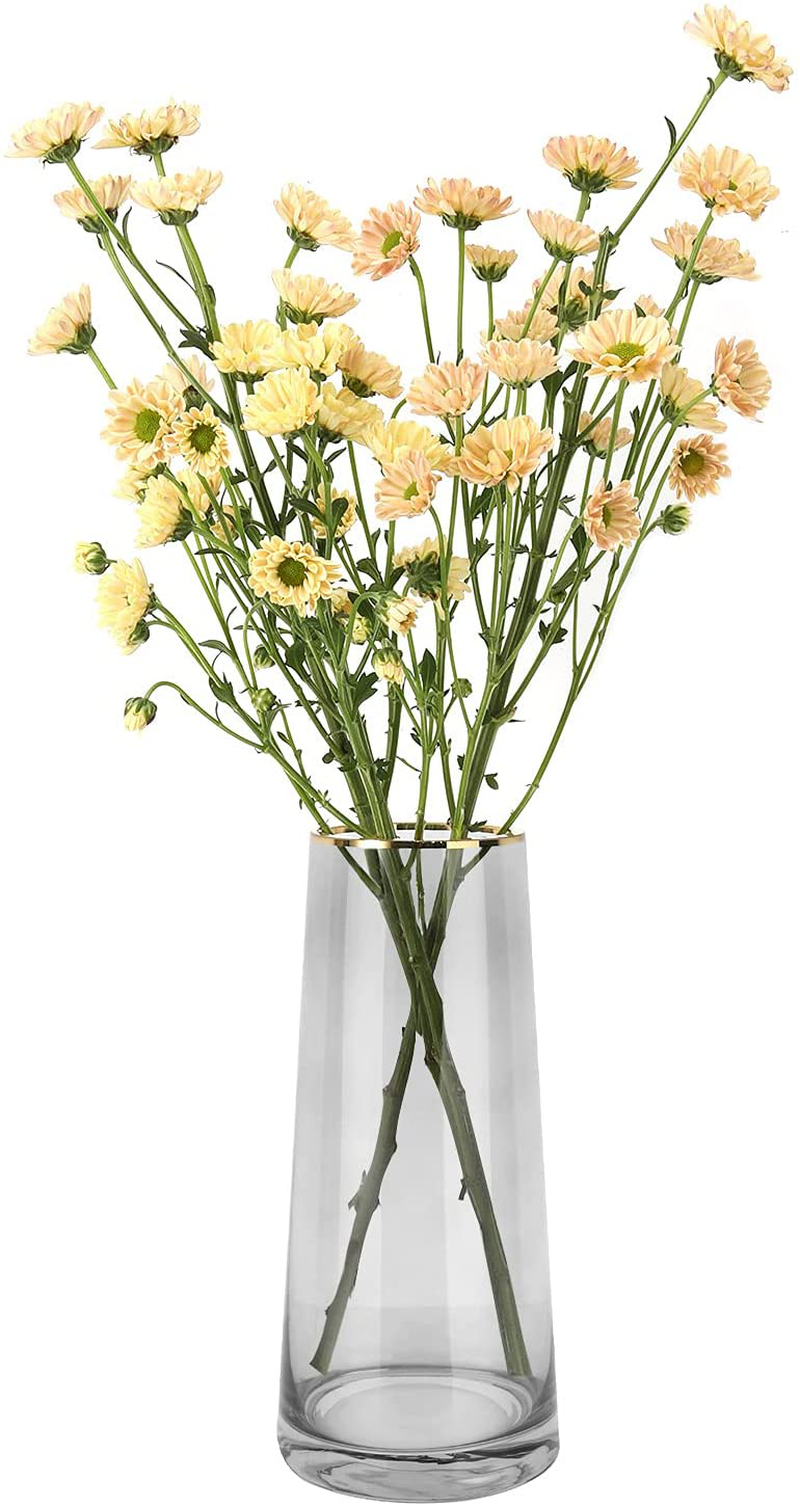 Luxspire Tall Glass Vase for Flowers,Large Clear Vase Morden Ins Style,Crystal Vases Flowers Hand Blown Glass for Home Decoration Living Room Office Bethroom Decor,8.7 Inch,Smoky Gray Home & Garden > Decor > Vases Luxspire Smoky Grey Exquisite 